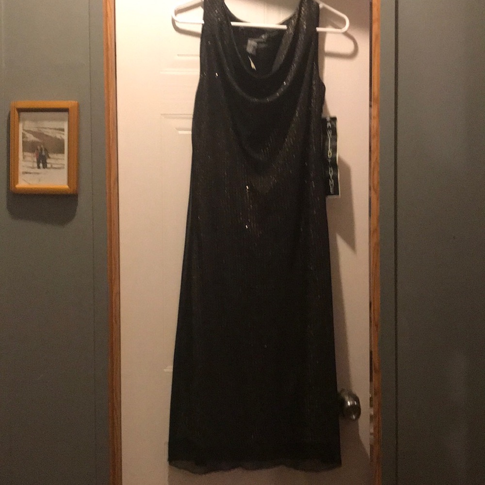 Women’s NWT A Wild Thyme party dress